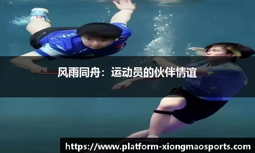 熊猫体育官网